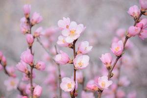 完美融合“四通道”，展現(xiàn)至強(qiáng)奈米神力