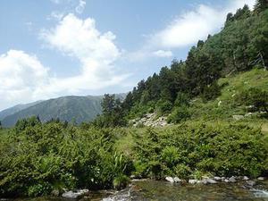 稠油井有桿泵高效舉升及防偏磨配套技術(shù)