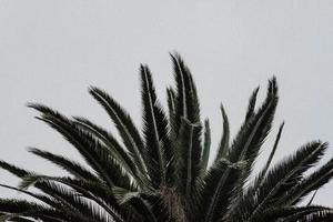 奶粉添DHA/ARA，寶寶會快人一步?