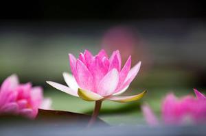 第二十二章教訓(xùn)白子茹