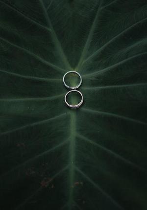 沉默LIMK2基因?qū)Τ晒羌?xì)胞c―fos基因力學(xué)敏感性的影響