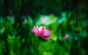 關(guān)于藝術(shù)設(shè)計(jì)專業(yè)風(fēng)景色彩寫生教學(xué)改革的思考