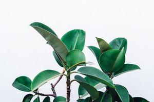 如何快速搭建一個屬于自己的網(wǎng)站？！