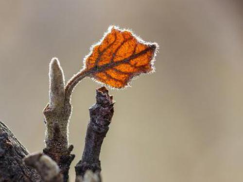 體育彩票足球競彩網(wǎng)活動可靠