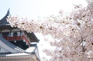 MyBatis一 入門案例實(shí)現(xiàn)CRUD操作