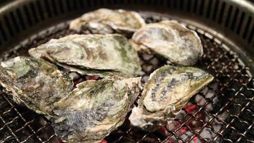 捕魚達(dá)人3各版本蘋果版官網(wǎng)
