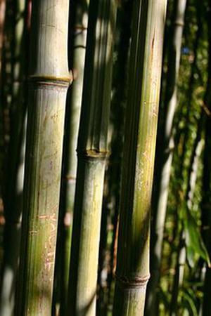 第二十二章教訓(xùn)白子茹