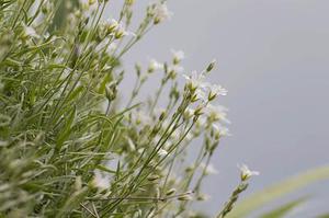 美國機場安全防范體系的構建分析