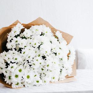 鳳岡縣茶葉出口達(dá)萬元