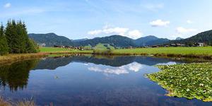 鳳岡縣茶葉出口達萬元