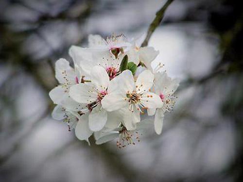 彩寶網(wǎng)點(diǎn)評哪個好