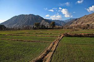 椒江污水廠二期工程地基真空預壓處理原位監(jiān)測