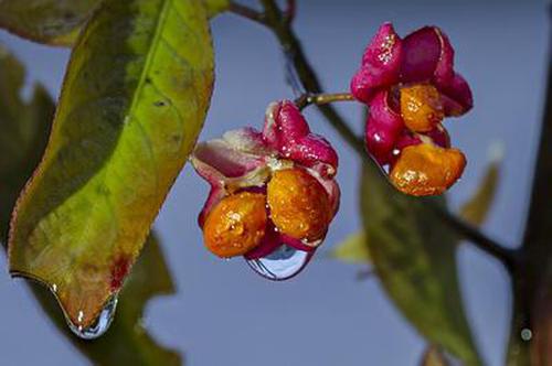 獎(jiǎng)聊彩票官網(wǎng)說(shuō)明