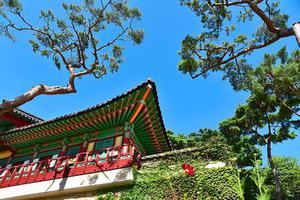 五個新手創(chuàng)業(yè)的項目，學(xué)習(xí)自用，舉一反三才是創(chuàng)業(yè)的開始