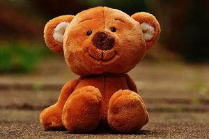 課感――讓科學(xué)課因動(dòng)態(tài)生成更加美麗