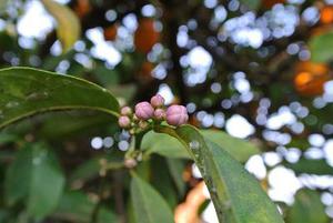 五個新手創(chuàng)業(yè)的項目，學(xué)習(xí)自用，舉一反三才是創(chuàng)業(yè)的開始