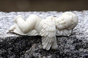 順應(yīng)論視角下的兒童文學(xué)翻譯探析――以《愛麗絲漫游奇境記》為個案