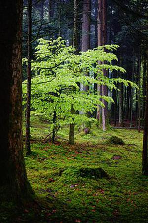 廳黨組成員、總工程師張生福以及廳屬有關(guān)單位負(fù)責(zé)人