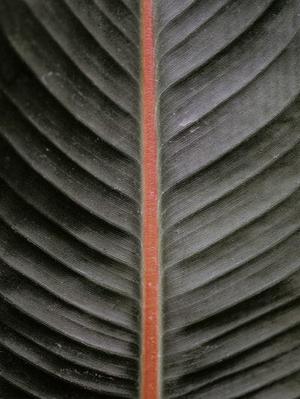計(jì)算機(jī)維修與維護(hù)技術(shù)