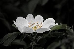 第二十二章教訓白子茹