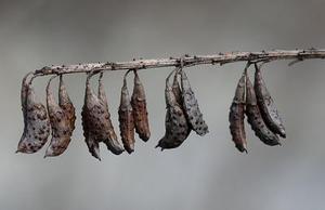 霓虹燈把我的影子拉得長長的