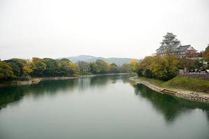 五個(gè)新手創(chuàng)業(yè)的項(xiàng)目，學(xué)習(xí)自用，舉一反三才是創(chuàng)業(yè)的開始
