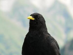 把肖戰(zhàn)放在首位，不跟風(fēng)意見(jiàn)領(lǐng)袖，尊重原創(chuàng)，肖戰(zhàn)粉絲這次能做到
