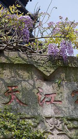 可耐福起訴塞汀梯侵權(quán)