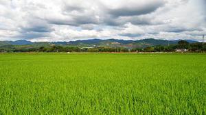 都說靜安寺是風(fēng)水寶地，從Workingdom爆紅的聯(lián)合辦公空間探