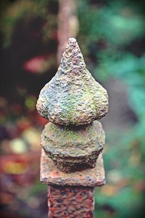 賭錢捕魚指導(dǎo)體彩
