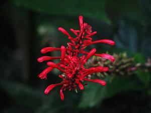 Mac 多顯示器快速移動(dòng)鼠標(biāo) 