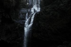 第79章我們是奸商