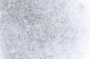 顯現(xiàn)的一抹亮色