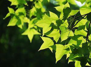 理財(cái)（一）你為什么理財(cái)
