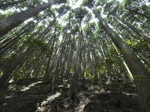 為什么俄羅斯也參與澳大利亞和歐美國(guó)家的調(diào)查疫情源頭提案？抗擊新冠肺炎疫情