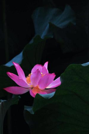 如何快速搭建一個屬于自己的網(wǎng)站？！