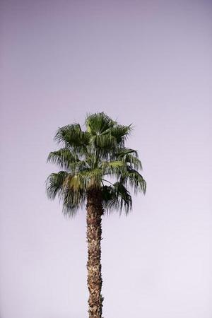 廣州地區(qū)高職畢業(yè)生心理壓力分析