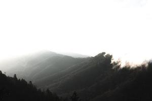 提高CSP鋼水酸溶鋁控制精度實踐