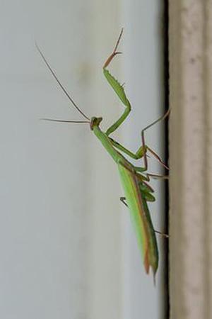 第377章告狀