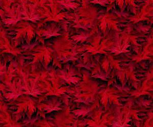 將于年春節(jié)前分批次遷入兩處安置區(qū)