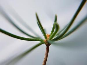 MEMS：芯片外的封裝級設計考慮