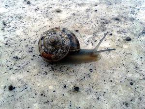 時代民芯杯電子設(shè)計大賽啟動