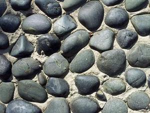 中衛(wèi)市以轉(zhuǎn)型追趕、高質(zhì)量發(fā)展為主線