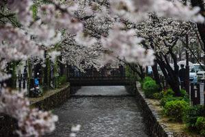 精度設(shè)計(jì)與質(zhì)量控制基礎(chǔ)精品課程的建設(shè)與實(shí)踐