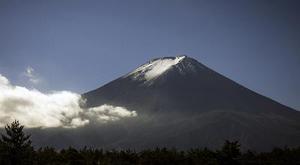 廳黨組成員、總工程師張生福以及廳屬有關(guān)單位負責人