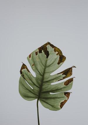 各種手機(jī)應(yīng)用也漸漸成了我們關(guān)心的話題之一