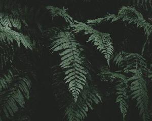 基于Linux的防火墻日志數(shù)據(jù)庫(kù)化