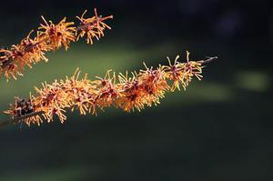 第二十二章教訓(xùn)白子茹