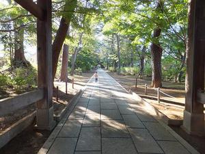 鳳岡縣茶葉出口達(dá)萬元