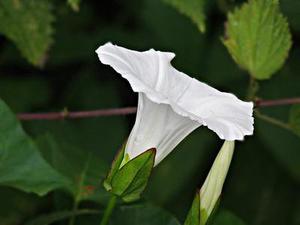 把肖戰(zhàn)放在首位，不跟風(fēng)意見領(lǐng)袖，尊重原創(chuàng)，肖戰(zhàn)粉絲這次能做到